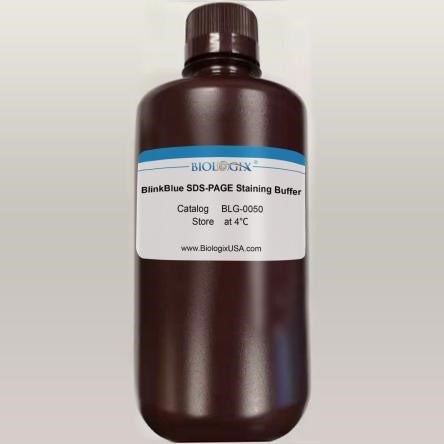 Biologix-Regent-Blinkblu-Protein-Stain-Buffer-Just-10-Minutes-Regent Biologix-Regent-Blinkblu-Protein-Stain-Buffer-Just-10-Minutes-Regent