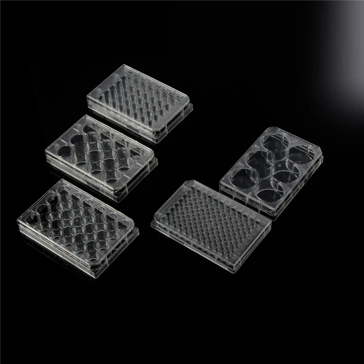 24-well PS Cell Culture Plate For Laboratory
