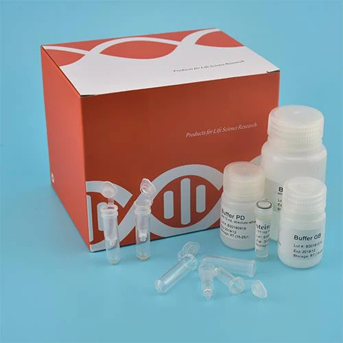 Buccal Swab Genomic DNA Kit (Spin Column)