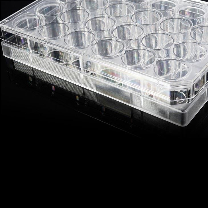24-well PS Cell Culture Plate For Laboratory