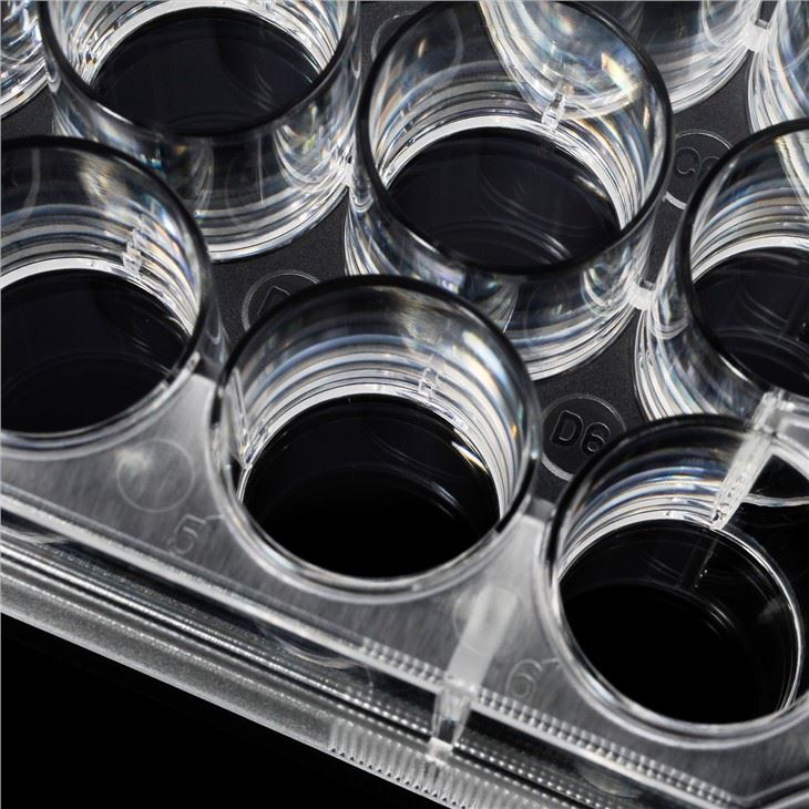 24-well PS Cell Culture Plate For Laboratory