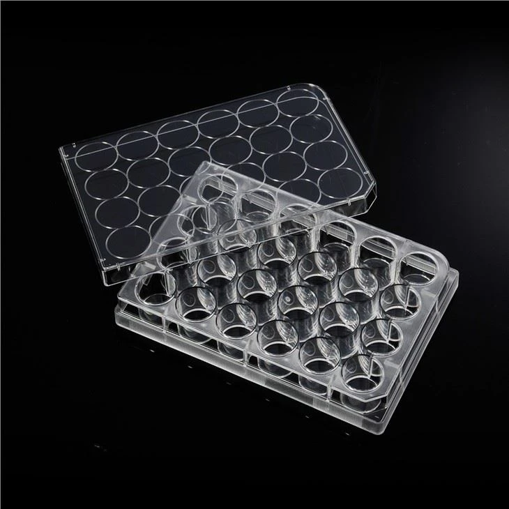 24-well PS Cell Culture Plate For Laboratory