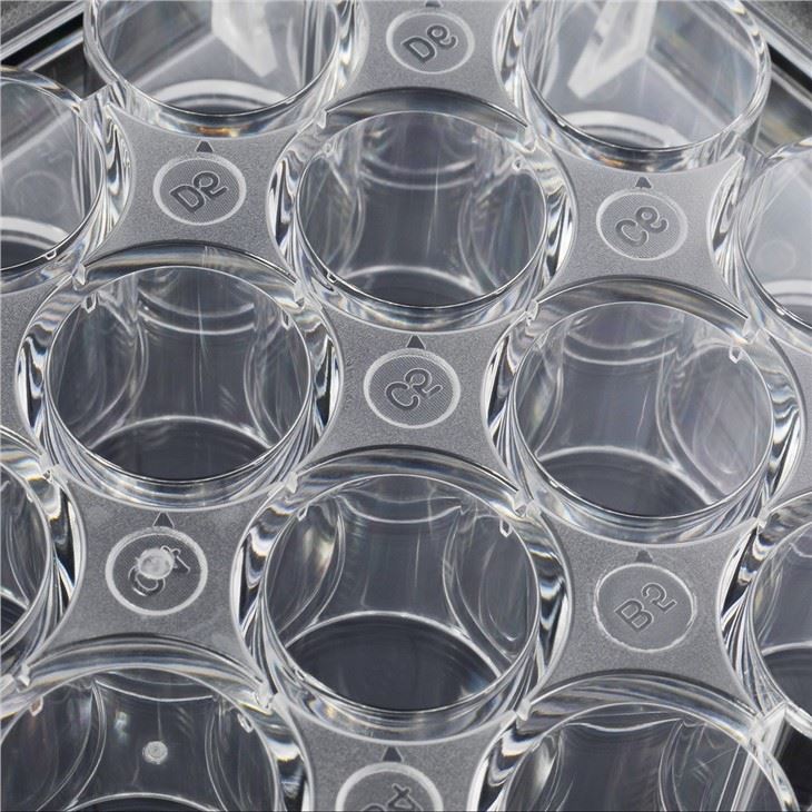 24-well PS Cell Culture Plate For Laboratory