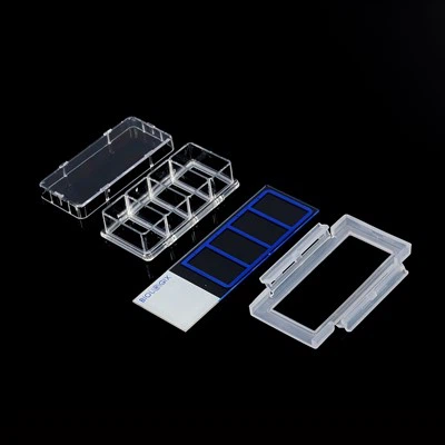 2 brønner 4 brønner 8 brønnkulturer